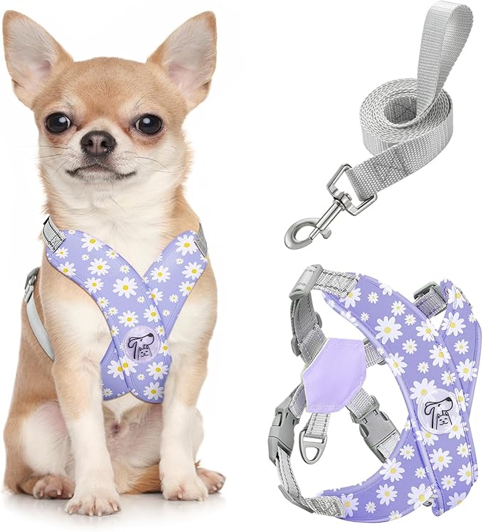 Pawaboo Small Dog Harness and Leash Set, Puppy Harness X-Frame No Pull No Choke, Dog Vest Harness Adjustable for Small Medium Sized Dogs,Soft Breathable Pet Harness for Walking Outing, S, Purple Daisy