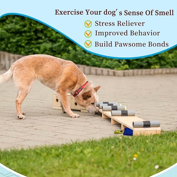 Dog Scent Training kit, Brain Games, Hide and Seek Toys, Metal Stimulation Games - Fun Nose Work for Dogs, Sniff and Seek Sniffing Toys, Dog Nosework, Scent Work Kit for All Ages