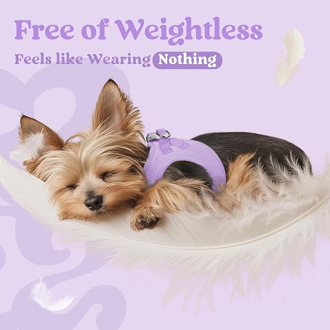 rabbitgoo Small Dog Harness, Step-in Soft Mesh Puppy Vest with Safety Buckle, Breathable Reflective Pet Harness for Large Dogs, Light Purple XXL