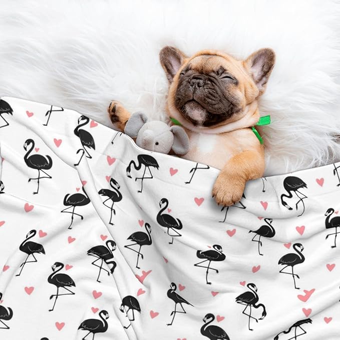 Pet Blanket for Travel and Home, Flamingo, Reversible Plush Dot Design with Soft Grip Texture on One Side Perfect for Car Seats Moving Vehicles