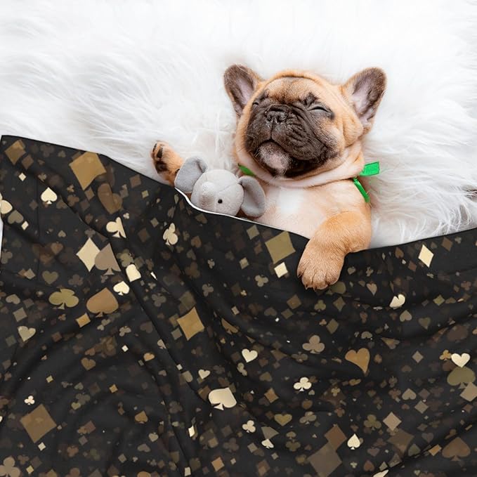 Casino Print Soft Plush Pet Blanket, Washable Dog Blanket, Cat Fleece Throw, Puppy Bed Crate Mat & Sofa Couch Protector - Small