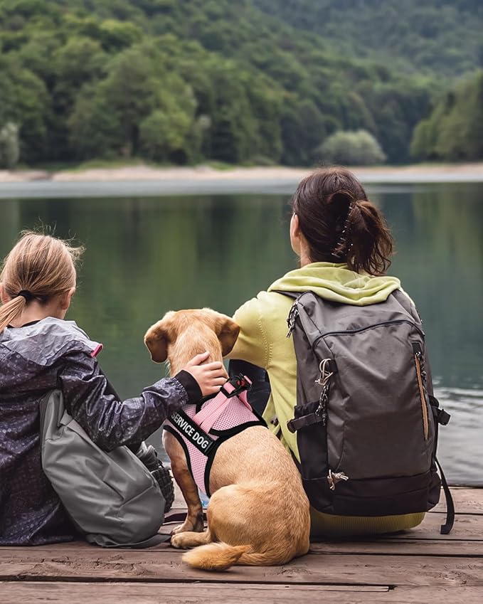 FAYOGOO Service Dog Vest for Small and Medium Breed - Lightweight Dog Harness with 6PCS Removable Patches - Puppy Harness and Leash Set for Walking, Training