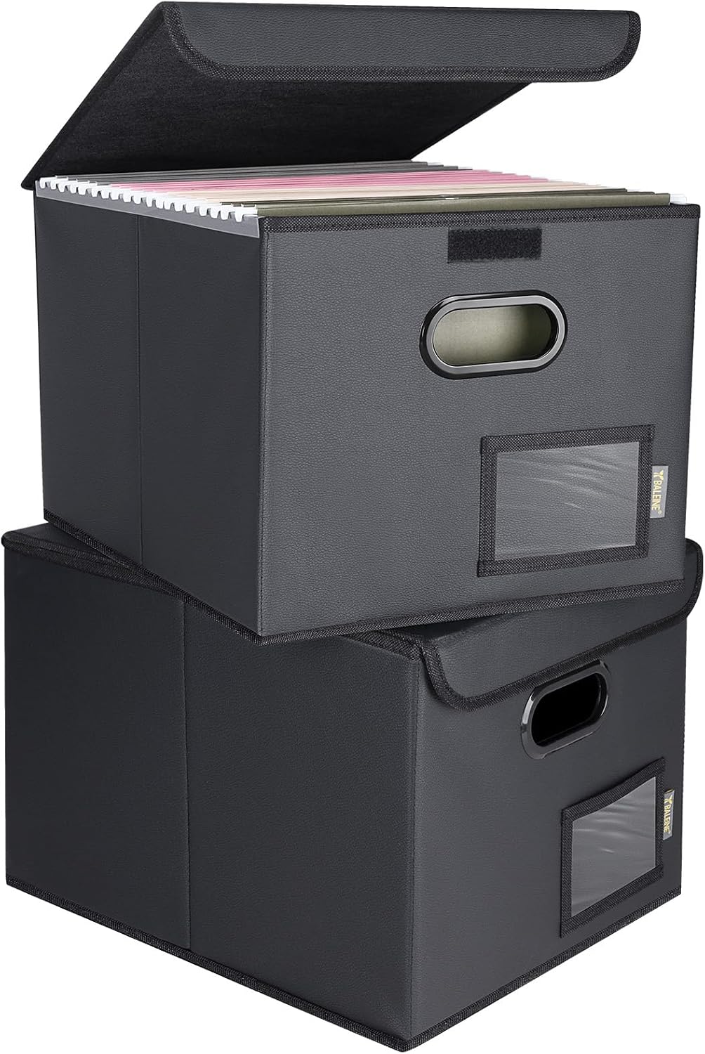 BALEINE File Organizer Box with Lid, Collapsible Hanging File Storage Box
