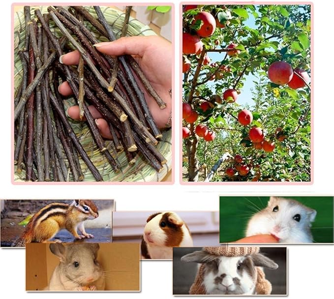 sharllen 500g(18oz) Apple Sticks Pet Chew Toys for Rabbits Chinchilla Guinea Pigs