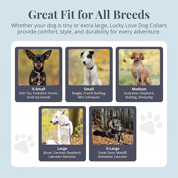 Lucky Love Dog, Comfortable, Soft, Cute Female Dog Collar for Medium Dogs, Black & Purple Floral Print, Adjustable Nylon Collar, Primrose, Medium