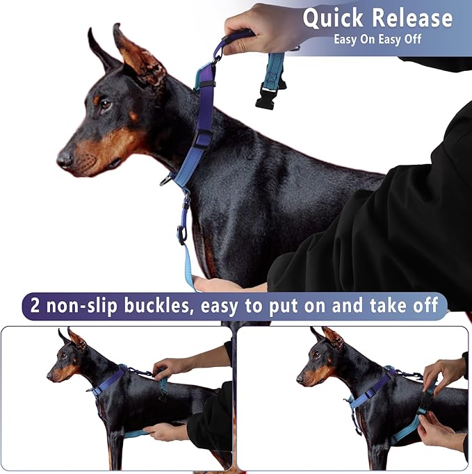 Roses&Poetry Dog Harness for Large Dogs, No-Pull Dog Harness and Leash Set Adjustable Reflective, Dog Vest Harnesses Comfort Padded Handle, Pet Harness for Training Outdoor Walking（Gsky-L