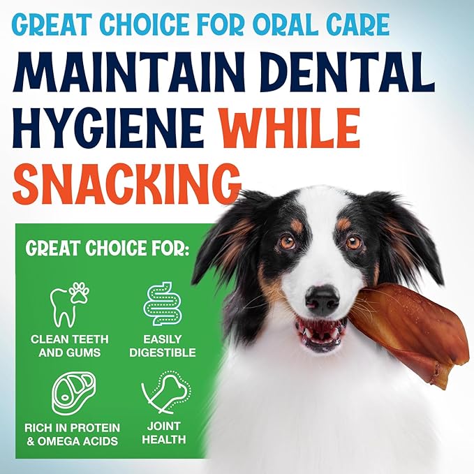 Whole Pig Ears for Dogs Large - 150 Pack Long Lasting Dog Chews – One Ingredient Delicious All Natural Flavor – Easy to Digest Dog Treats for Large Dogs - Great for Teeth and Gums