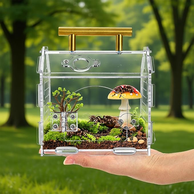Jumping Spider Enclosure with Handle, Acrylic Reptile Habitat with One-Click Magnetic Closure, Front Opening Small Terrarium with Ventilation Holes for Tarantulas, Frogs, Gecko, Mantis