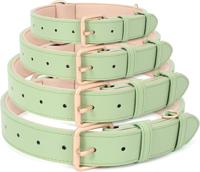 WHIPPY Leather Dog Collar for Small Medium Large Dog Adjustable Soft Breathable Leather Padded Puppy Collar with Alloy Buckle Heavy Duty Waterproof Classic Dog Pet Collar,Green,M