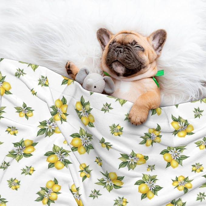 Double Sided Plush Pet Blanket with Cozy Dot Texture and Smooth Reverse, Yellow Lemons Trees With Green Leaves And White Flower Summer Plant, Reversible Throw for Dogs Cats on Couches Beds Crates