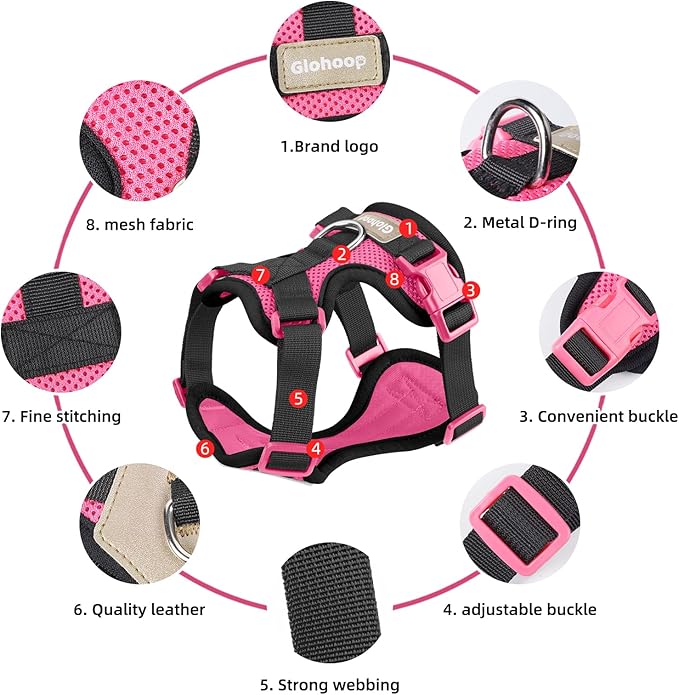 Small Dog Harness and Leash Set, Breathable Mesh Puppy Harness, Adjustable Dog Harness for Small Medium Large Dogs, No-Pull Pet Harness for Daily Walking (Hotpink, Large)