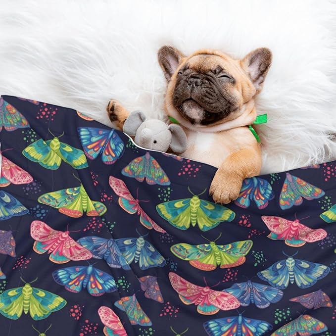 Double Sided Pet Bed Blanket for Added Cushion Warmth, Colorful Butterflies, Reversible Cover with Textured Dot Surface for Existing Beds Standalone Mat