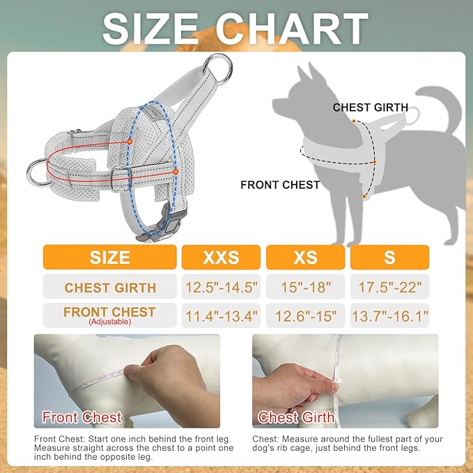 BEAUTYZOO Dog Harness Small Sized Dogs,2.0 Upgraded No Pull Front Adjustable Dog Harness and Leash Set,Escape Proof Soft Puppy Vest with Handle,Reflective Lightweight Step in Harness for Girl Boy Dogs