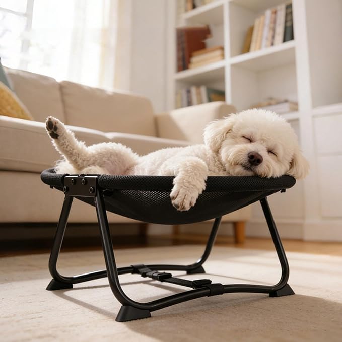 Elevated Pet Bed Furniture Lightweight Portable Gifts up Multifunctional Foldable Outdoor Accessory Pet Supplies, Mesh