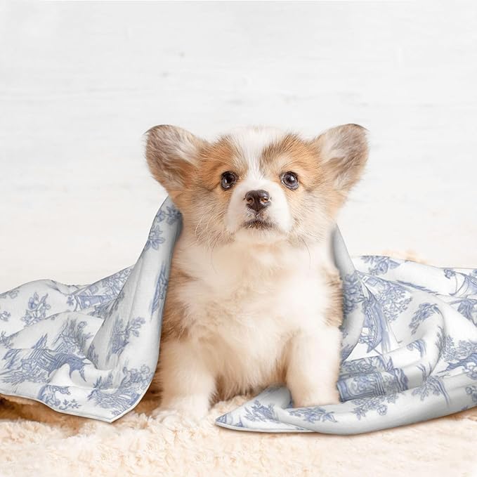Dog and Cat Blanket in One, Chinese Style Powder Blue Chinoiserie Toile, Double Sided Plush Throw with Raised Dot Pattern on One Side and Flat Velvet on Other for Variety