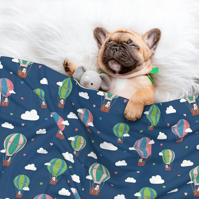 Reversible Plush Dot Pet Blanket for Dogs and Cats, Dachshund Hot Air Balloon Dogs, Ultra Soft Two Sided Design with Warm Fuzzy Side and Smooth Side for Comfort