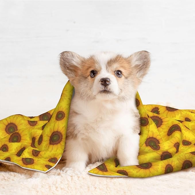 Reversible Plush Dot Pet Blanket for Dogs and Cats, Beautiful Sunrise Sunflower Art, Ultra Soft Two Sided Design with Warm Fuzzy Side and Smooth Side for Comfort