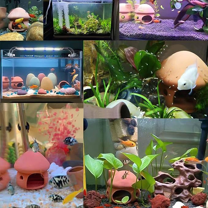 Betta Fish Tank Accessories,Pleco Caves for Aquarium,Fish Aquarium Decoration,Smalland Shrimp Breeding Cave Don't Contain Paint,Natural Ceramics Mushroom House