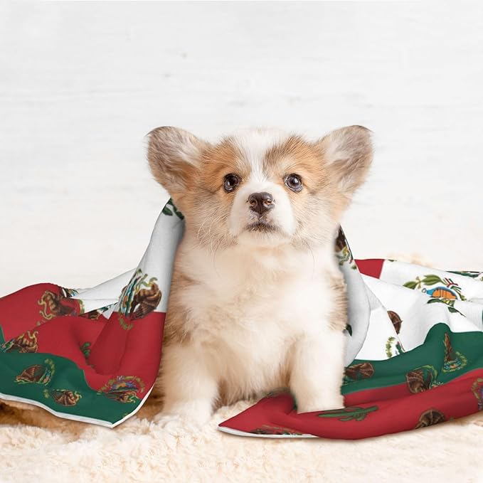 Pet Blanket for Couches and Beds, Mexican Flag, Reversible Double Sided Plush Design with Soft Bumpy Texture and Smooth Surface, Furniture Protector