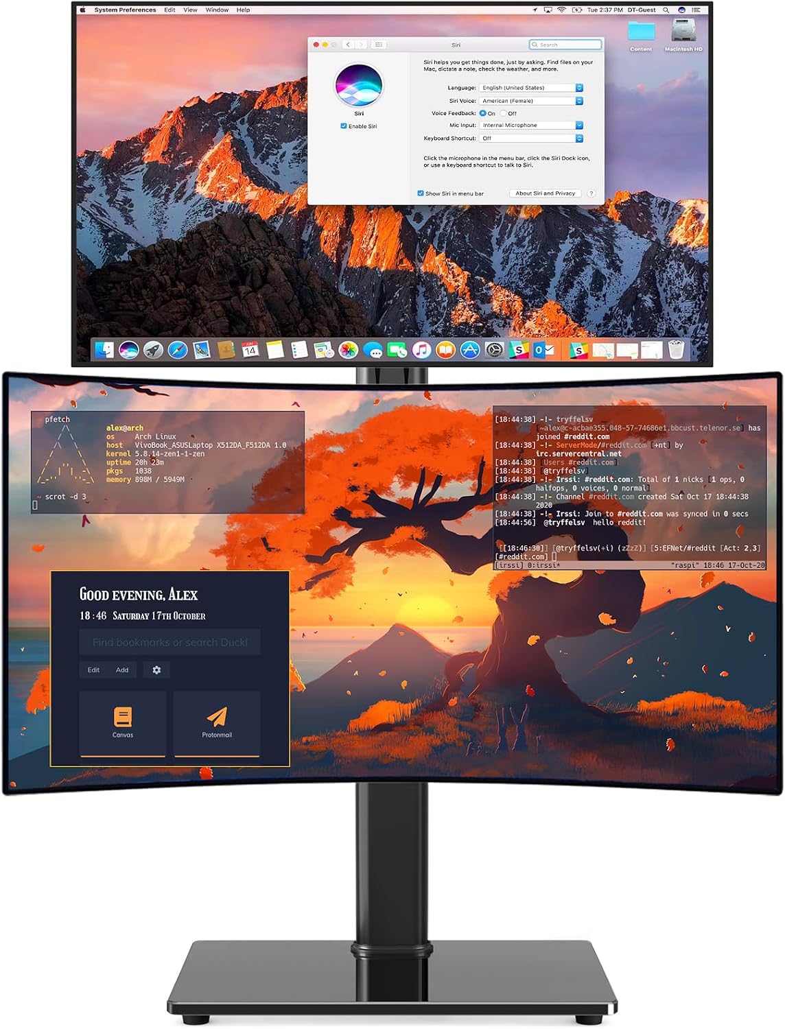 Dual Monitor Stand VESA Mount for 13-38 Inch Screens up to 44lbs