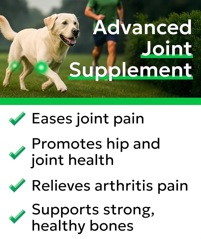 Glucosamine Chondroitin Dog Hip & Joint Supplement - Joint Pain Relief - Hip & Joint Chews for Dogs - Joint Support Large Breed - Senior Doggie Vitamin Pills Joint Health (240 Treats - Peanut Butter)