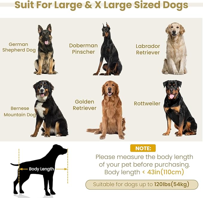 Elevated XL Large Dog Sofa with Backrest and Armrests, 55" Button Tufted Dog Couch Bed with Soft Cushion for Large Dogs, Stylish Lounging Bed Pet Couch Chair, 120Lbs Weight Capacity, Dark Gray