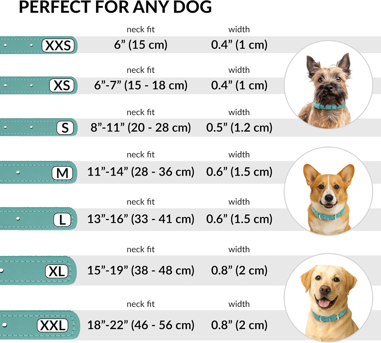 CollarDirect Rolled Leather Dog Collar, Soft Padded Round Puppy Collar, Handmade Genuine Leather Collar Dog Small Large Cat Collars 13 Colors (15-19 Inch, Mint Green Smooth)