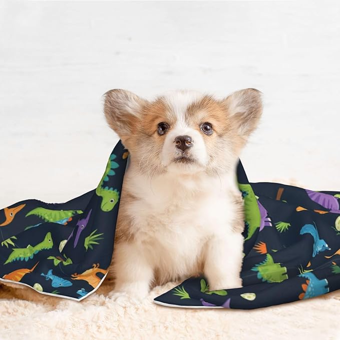 Dog and Cat Blanket in One, Cute Colorful Cartoon Dinosaurs, Double Sided Plush Throw with Raised Dot Pattern on One Side and Flat Velvet on Other for Variety