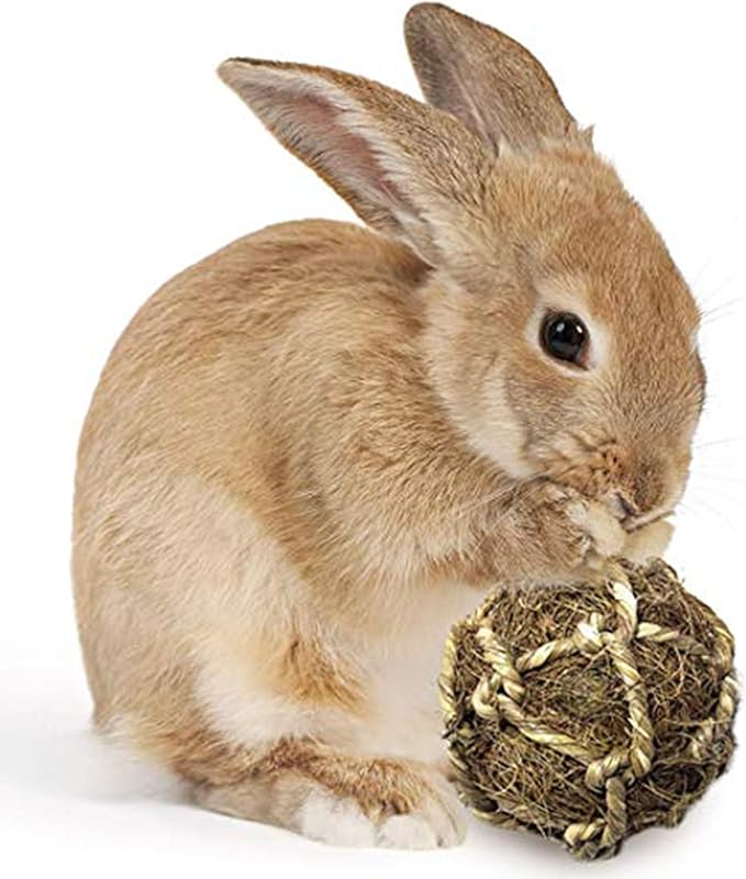 SunGrow Assorted Rabbit & Cat Chew Balls, Teething Activity Toy for Pocket Pets, Improves Dental Health, Environment Friendly, Stress Reliever (Coco Fiber, 6 Pcs)