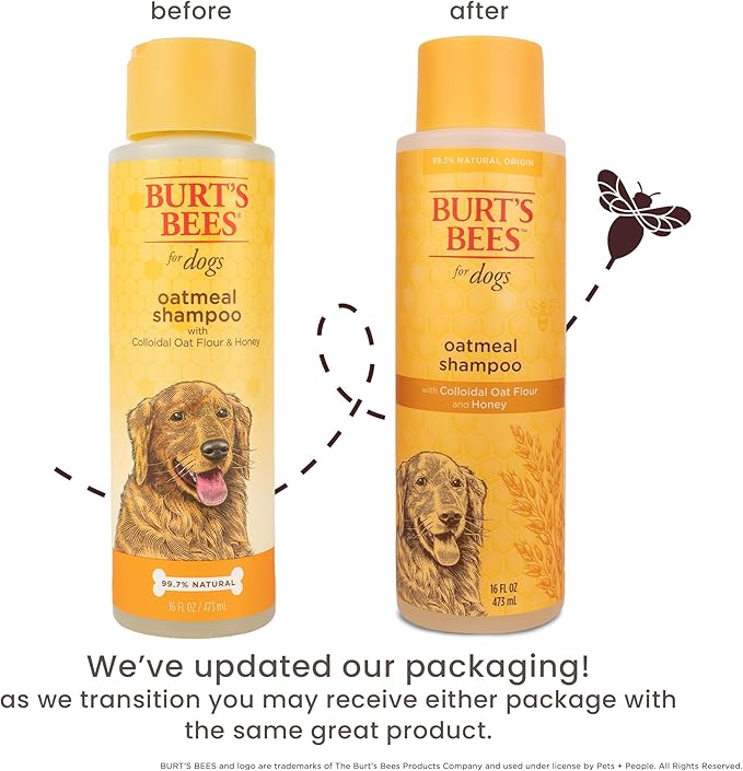 Burt’s Bees for Pets Oatmeal Dog Shampoo with Honey, Soothing Dog Shampoo for Itchy and Sensitive Skin, pH Balanced Formula that Gently Cleans and Moisturizes Dog Coats, 16 Fl Oz - 6 Pack