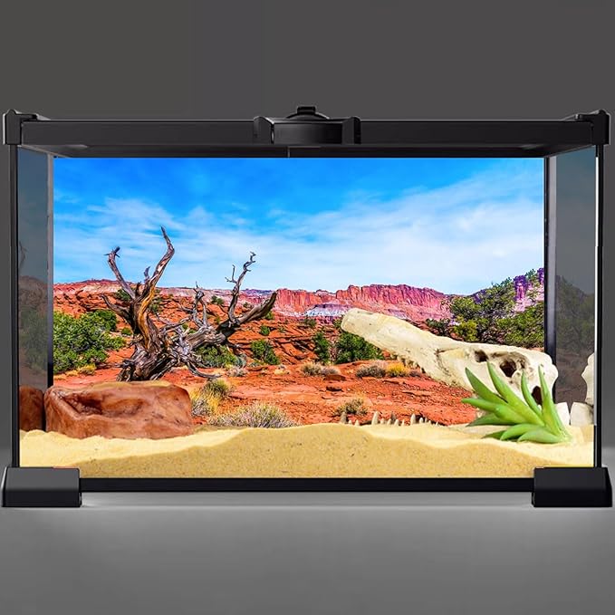AWERT 60x24 inches Reptile Habitat Background Blue Sky Oasis Orange Desert Terrarium Background