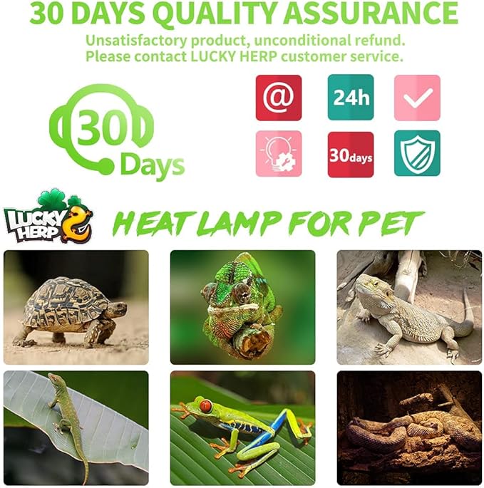 LUCKY HERP 4 Pack 50W Reptile Heat Lamp Bulb (2nd Gen), Amphibian Basking Light Bulb, Reptile Daylight Bulb for Turtle, Bearded Dragon, Lizard Heating Use