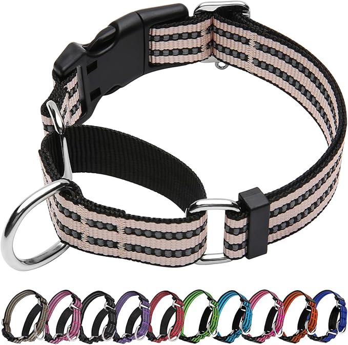 Martingale Dog Collar, Adjustable Nylon Reflective Collar with Quick Release Buckle (Pink Ivory, Small)