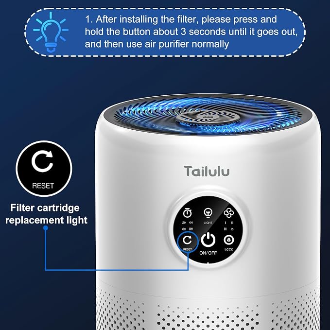 Tailulu D10 Replacement Filter, Air Purifier Filter