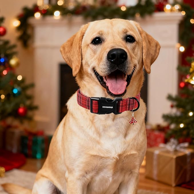 DOGWONG Christmas Plaid Dog Collar, Cute Adjustable Red Collar, Red Grid Dog Collar with Strong Plastic Buckle for Small Medium Large Dogs,XS