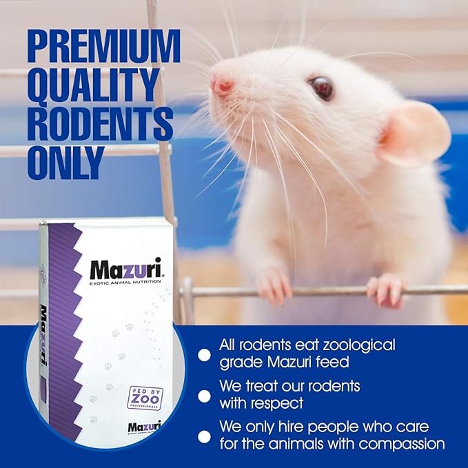 MiceDirect Frozen Mice Combo Pack of 75 Small Pinkies & 75 Pinkies Feeder Mice - Food for Corn Snakes, Ball Pythons, Lizards - 40 Ounce (Pack of 150)