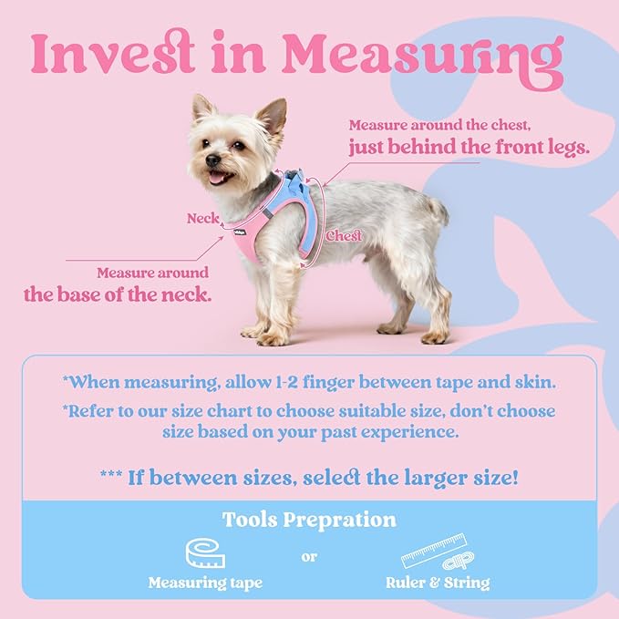 rabbitgoo Small Dog Harness, Step-in Soft Mesh Puppy Vest with Safety Buckle, Breathable Reflective Pet Harness for Small Medium Dogs, Blue & Light Pink L