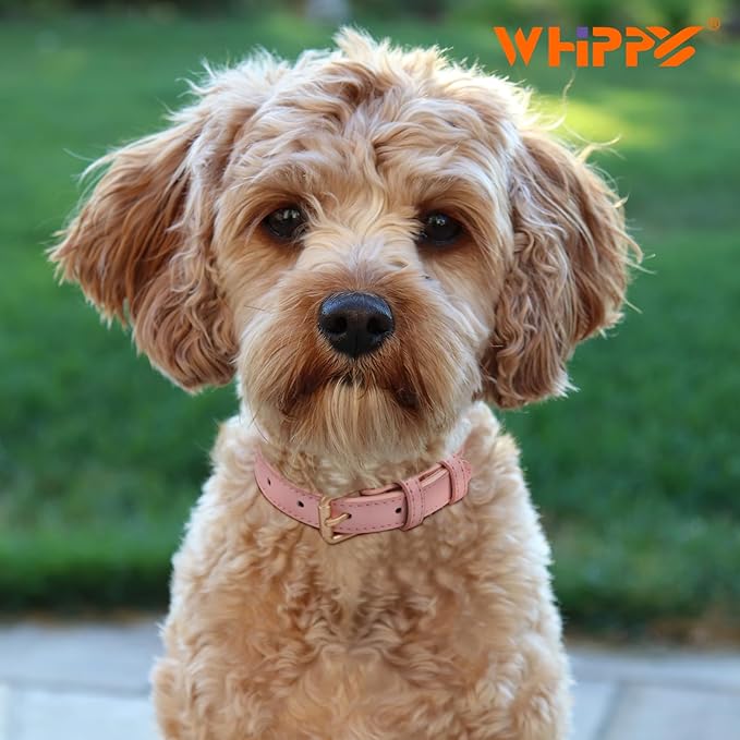 WHIPPY Leather Dog Collar for Small Dog Adjustable Soft Breathable Leather Padded Puppy Collar with Alloy Buckle Heavy Duty Waterproof Classic Dog Pet Collar,Pink,XS