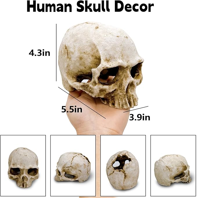 Tfwadmx Human Skull and Crocodile Skull Decor, Snake Hide, Tarantula Enclosure Accessories, Resin Skull with Vines Reptile Terrarium Tank Decor for Geckos, Lizards, Spiders