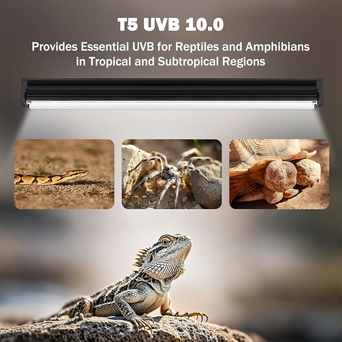 T5 10.0 UVB Reptile Light Fixture, T5 UVA UVB Light Tube Lamp Blub 39W 34" for Bearded Dragon, Tortoise,Desert Lizards,Leopard Gecko,Reptile & Amphibian Lamp