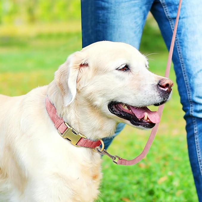 Genuine Leather Dog Collar - Adjustable Pet Collar with Quick Release Metal Buckle, Soft Skin Friendly Real Leather Collar for Small, Medium, Large Dogs (Pink, S：Fit 8-16" Neck)