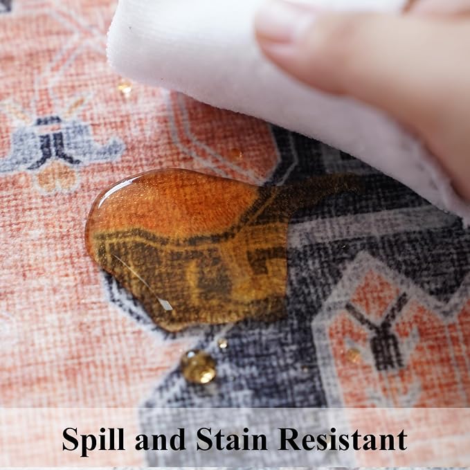 Washable 2x5 Hallway Runner Rug: Indoor Vintage Water Resistant Kitchen
