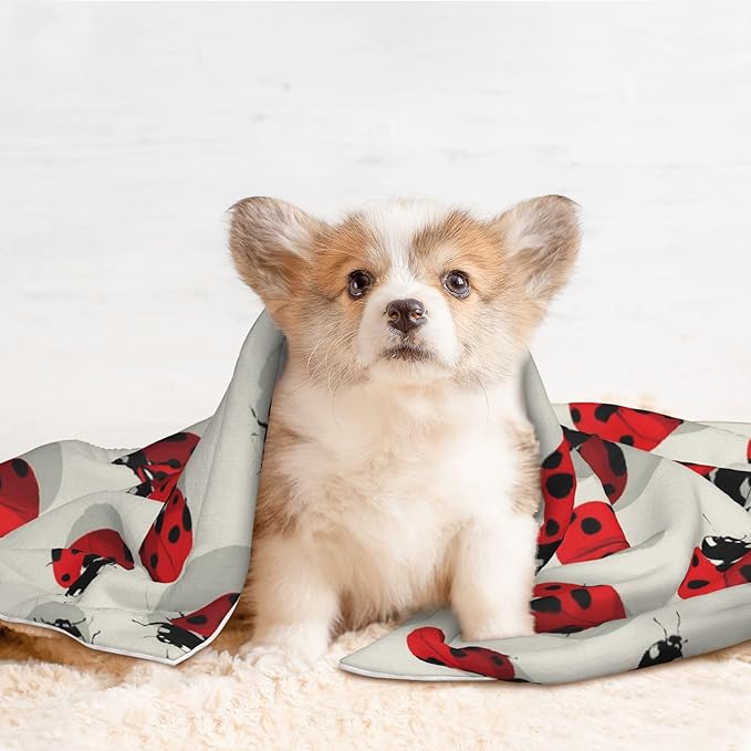 Waterproof Dog Blanket Soft Pet Blanket for Puppy Cat, Fleece Cat Throw Blankets for Furniture Bed Couch Sofa Reversible - Beautiful Red Ladybug 4