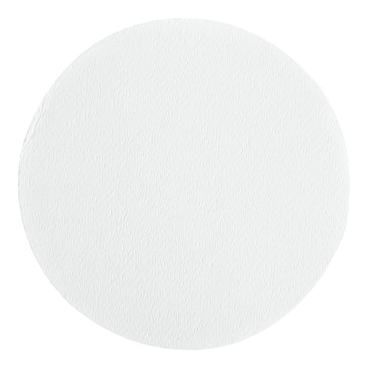 Whatman 10411413 White PTFE Membrane Filter Circle, 50mm Diameter, 0.2 Micron