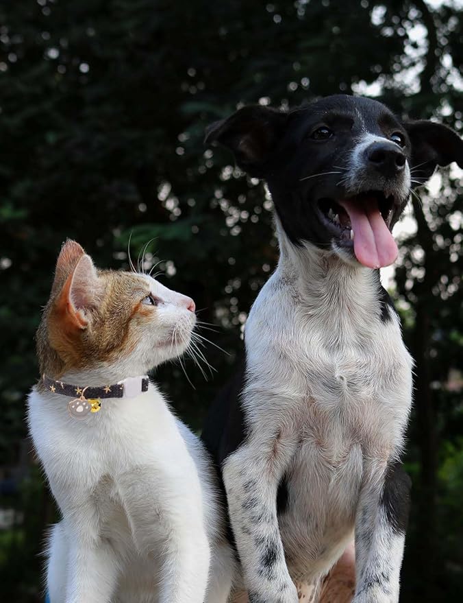 Cat Collar Breakaway with Bells,3 Pack Safety Adjustable Pet Collars,Ideal for Girl Boy Kittens. (Blue Black Starfish)