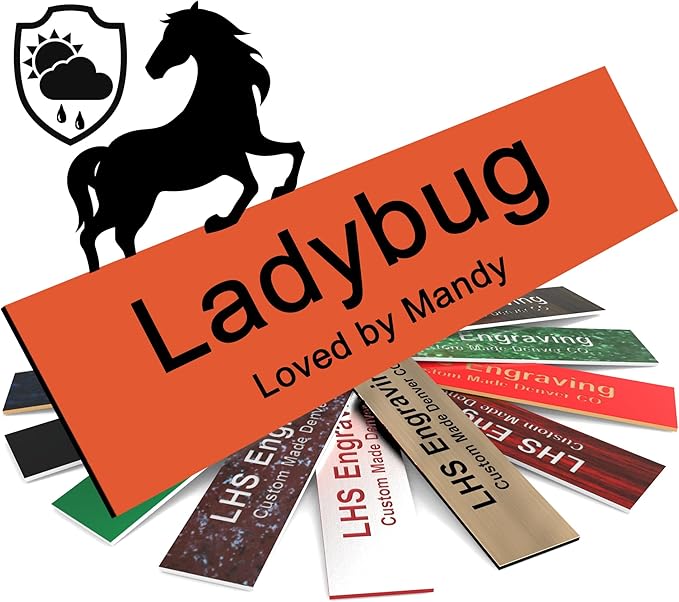 Horse Stall Name Plate, 2x10 Personalized Stall Signs, UV Protected, All Weather Adhesive, Hanging, Mounting or Other, Orange Plastic with Black Letters - Made in USA - B11