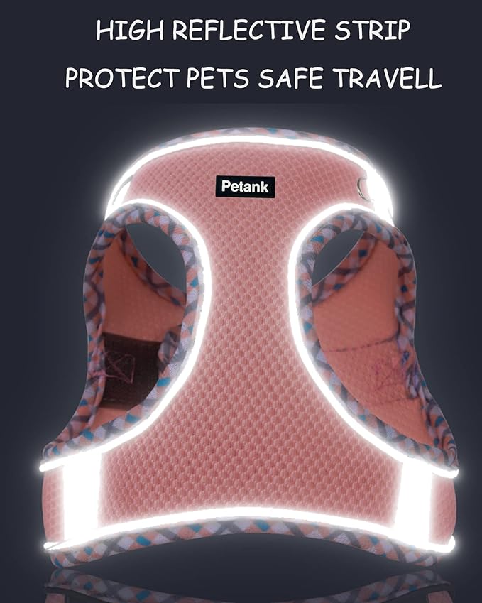 Petank Dog Harness for Small Medium Dogs No Pull, Puppy Harness and Leash Set, Step in Dog Harness for Walking, Running, Training, Small Dog Vest(Light Blue, S)