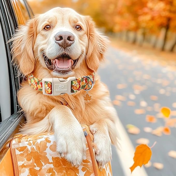 Fall Dog Collar Cute Autumn Leaves Puppy Collar - Light Comfortable Adjustable Pet Collars for Small Medium Large Girl Boy Dogs S