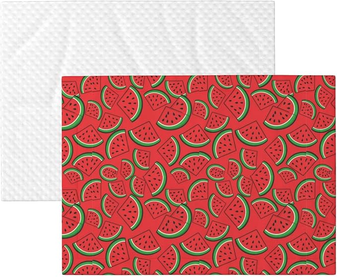 Reversible Dog Blanket for Beds Couches, Summer Fruit Red Green Watermelon, Double Sided Cat Blanket with Textured Dot Feel and Smooth Feel for Seasonal Comfort All Year