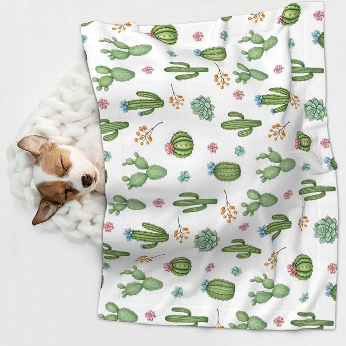 Double Sided Plush Pet Blanket with Cozy Dot Texture and Smooth Reverse, Watercolor Elements Succulent Plants Cactus, Reversible Throw for Dogs Cats on Couches Beds Crates